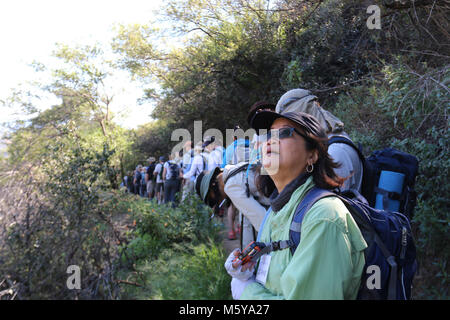 Hondo Canyon. Ein Wanderer auf der jährlichen Freiwilligen led-Segment Backbone Trail Wanderung in den Blick nimmt. Stockfoto