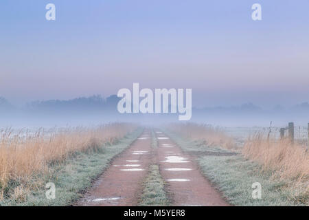 Einen Feldweg über Felder in der Norfolk Broads auf einem Nebelhaften und frostigen Morgen. Stockfoto