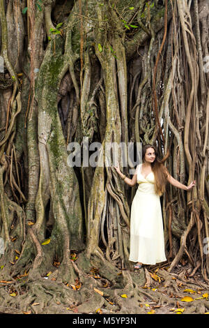 Die Frau in der Nähe von einem Banyan Tree Stockfoto