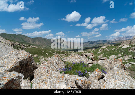 Köl-Suu kurumduk Tal, See, Provinz Naryn, Kirgisistan, Zentralasien Stockfoto