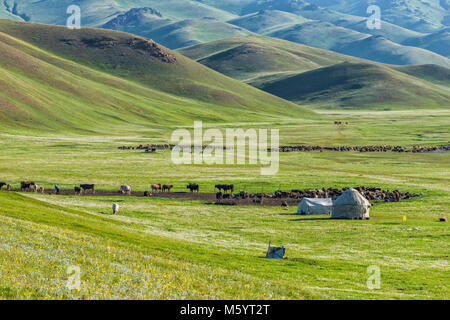 Nomad Jurtencamp, Song Kol See, Provinz Naryn, Kirgisistan, Zentralasien Stockfoto