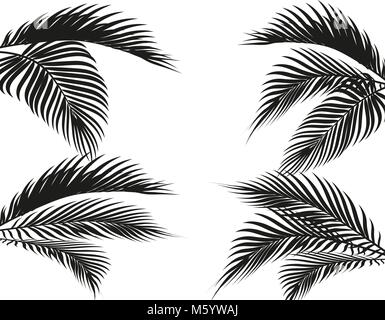 Verschiedene in Form tropischen Schwarzen und Weißen Palmblättern. Auf weissem Hintergrund. Stock Vektor