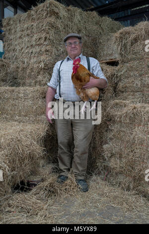 Eine weiße älteren Landwirt steht in einem seiner Scheunen mit Stroh/Heu als Hintergrund, die ein Huhn Stockfoto