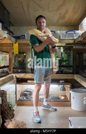 Eine wirkliche Person zeigt aus und zeigt ihre Sammlung von Reptilien und Schlangen aus den Aquarien Stockfoto