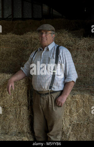 Eine weiße älteren Landwirt steht in einem seiner Scheunen mit Stroh/Heu als Hintergrund, die ein Huhn Stockfoto