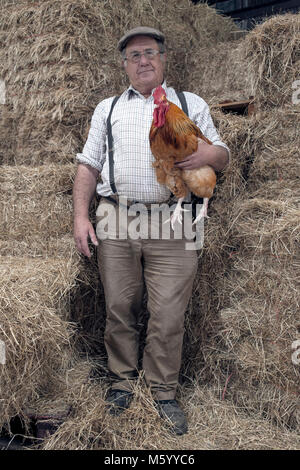 Eine weiße älteren Landwirt steht in einem seiner Scheunen mit Stroh/Heu als Hintergrund, die ein Huhn Stockfoto