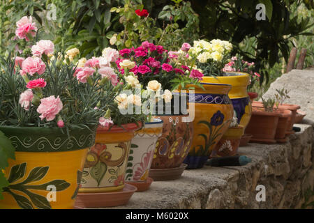 Bemalte Keramik Blumentöpfe und bunten Blumen, Nelken Dianthus caryophyllus, Stockfoto