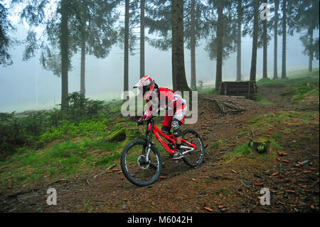 Downhill MTB, Thüringer Wald, Deutschland Stockfoto