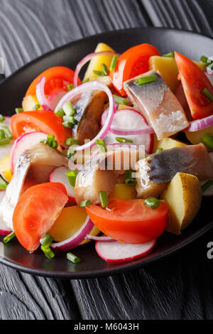 Frischer Salat von Makrelen mit carofel, Radieschen, Zwiebeln und Tomaten close-up auf einem Teller. Vertikale Stockfoto