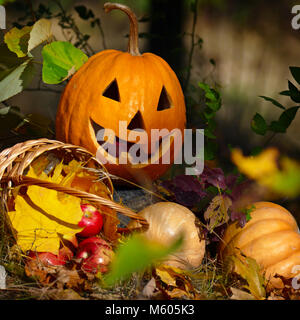 Halloween Kürbis im Wald auf dunklem Hintergrund. Stockfoto