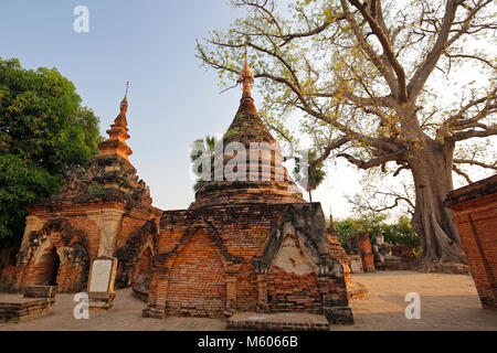 Alte Tempel Ruinen, alte Statue eines sitzenden Buddha und einem großen Baum an der Yadana Hsemee Pagode Komplex in Inwa (Ava) in der Nähe von Mandalay, Myanmar (Birma). Stockfoto