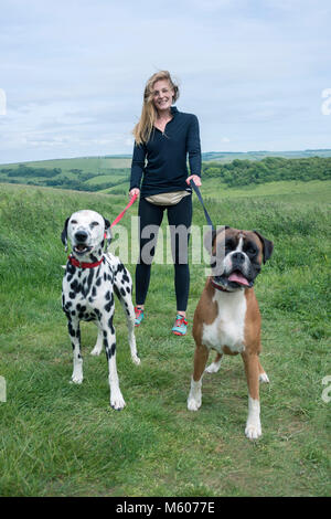 Einen weiblichen Hund Walker führt Ihr Service für kleine Unternehmen in der Landschaft Stockfoto