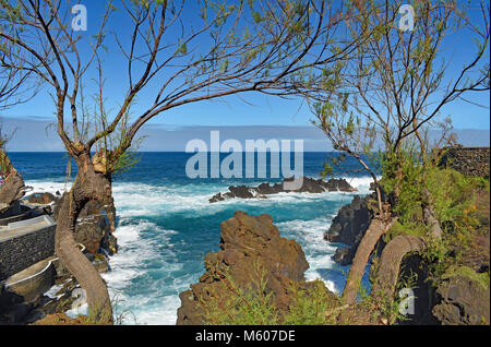 Das Meer stürzt gegen Felsen durch die Bäume an der Küste von Madeira gerahmt Stockfoto