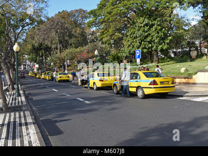 Funchal Taxifahrer ihre hellen gelben Taxis in der Warteschlange nach vorne drücken Stockfoto