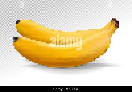 Bündel Bananen auf transparentem Hintergrund isoliert. Realistische Früchte. Zwei reife Bananen. Vector Illustration. Stock Vektor