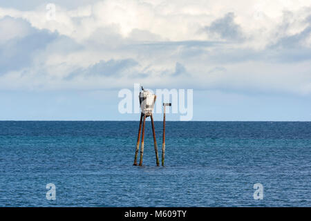 Maritime Signal an den Küsten von Andenes auf den Lofoten in Norwegen Stockfoto