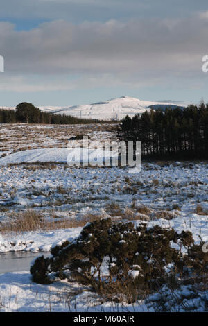 Scottish Borders im Februar leichter Schnee - in der Nähe von Hawick, Blick von der A7 weg zu Ruberslaw Hill. Stockfoto