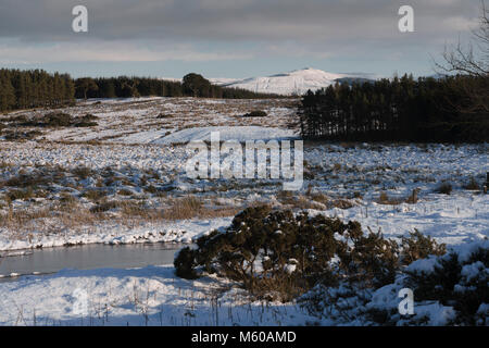 Scottish Borders im Februar leichter Schnee - in der Nähe von Hawick, Blick von der A7 weg zu Ruberslaw Hill. Stockfoto