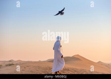 Saker Falcon (Falco cherrug). Falconer Fliegen ein Falke in der Wüste. Abu Dhabi Stockfoto