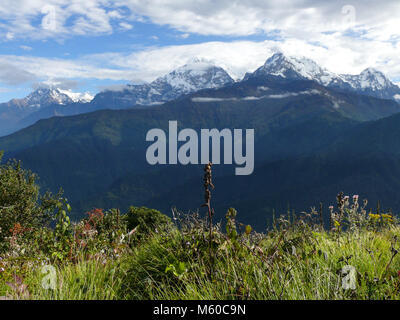 Annapurna Strecke von Poon Hill - einer der am meisten besuchten Himalayan Aussichtspunkte in Nepal, Blick auf die schneebedeckten Himalaya Stockfoto