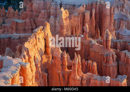 Die Türme der Bryce Canyon von Rainbow Point. Stockfoto