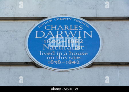 Charles Darwin blaue Plakette auf Gower Street, London, NW1 Stockfoto