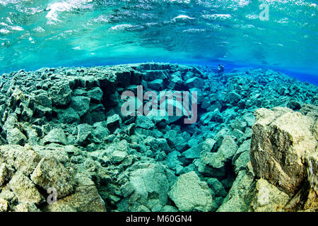 Tauchen in Silfra Riss, den Nationalpark Thingvellir, Island Stockfoto