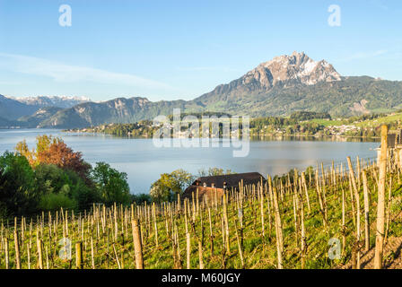 Frühlingslandschaft am Vierwaldstättersee bei Luzern in der Schweiz Stockfoto