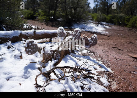 Devil's Bridge Trail Stockfoto