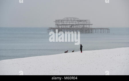 Brighton, UK. 27 Feb, 2018. UK Wetter: ein Hund Walker am Strand von Brighton mit dem West Pier hinter heute als "Tier des Ostens' Schneestürme über Großbritannien Verbreitung heute mehr Schnee und eisigen Wetter Prognose für den Rest der Woche Foto: Simon Dack Credit: Simon Dack/Alamy leben Nachrichten Stockfoto