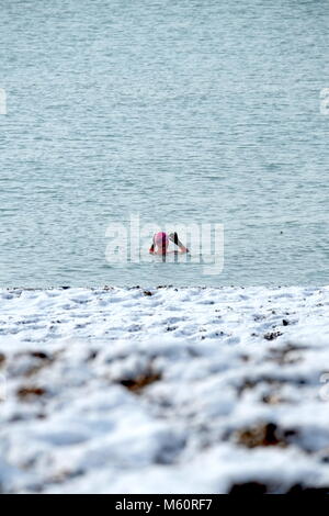 Brighton Beach. 27 Feb, 2018. UK Wetter: Schneefall am Brighton Beach unfazes Meer Schwimmer. 9:30 Uhr. Credit: Caron Watson/Alamy leben Nachrichten Stockfoto