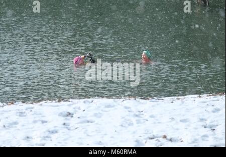 Brighton Beach. 27 Feb, 2018. UK Wetter: Schneefall am Brighton Beach unfazes Meer Schwimmer. 9:30 Uhr. Credit: Caron Watson/Alamy leben Nachrichten Stockfoto