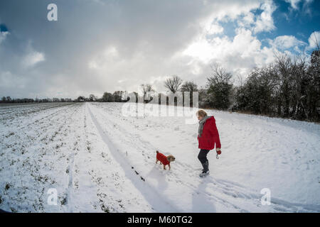 Hoxne, Suffolk, Großbritannien. 27 Feb, 2018. UK Wetter: Hund Wandern im Schnee während der "das Tier aus dem Osten". Stockfoto