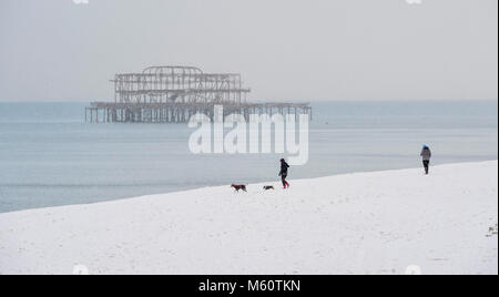 Brighton, UK. 27 Feb, 2018. Hund Spaziergänger auf Brighton direkt am Meer und Strand mit dem West Pier hinter heute als "Tier des Ostens' Schneestürme über Großbritannien Verbreitung heute mehr Schnee und eisigen Wetter Prognose für den Rest der Woche Foto: Simon Dack Credit: Simon Dack/Alamy leben Nachrichten Stockfoto