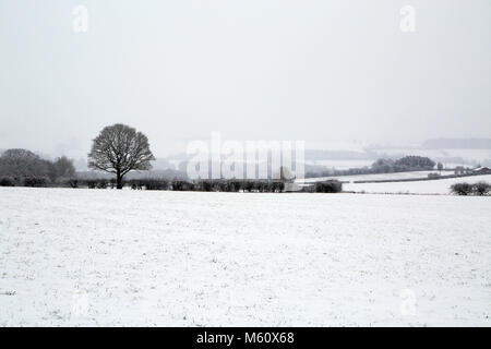 Schneebedeckte Landstraße am 27. Februar 2018 als Teil der „Bestie aus dem Osten“-Wetterfront, die das Vereinigte Königreich fegen wird. Es schneit immer noch auf dem Feld zwischen Lees Road und Canterbury Road mit Blick auf die North Downs, Brabourne Lees in der Nähe von Ashford, Kent, Großbritannien Stockfoto