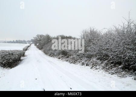 Ashford, Kent. 27 Feb, 2018. UK Wetter. Schneebedeckte Landstraße am 27. Februar 2018 als Teil der "Tier aus dem Osten' Wetter vorne fegt die UK. Noch schneit auf Pfund Lane, Brabourne Lees in der Nähe von Ashford, Kent, Vereinigtes Königreich Quelle: Liz Granat/Alamy leben Nachrichten Stockfoto