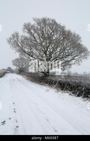 Ashford, Kent. 27 Feb, 2018. UK Wetter. Schneebedeckte Landstraße am 27. Februar 2018 als Teil der "Tier aus dem Osten' Wetter vorne fegt die UK. Noch schneit auf Pfund Lane, Brabourne Lees in der Nähe von Ashford, Kent, Vereinigtes Königreich Quelle: Liz Granat/Alamy leben Nachrichten Stockfoto