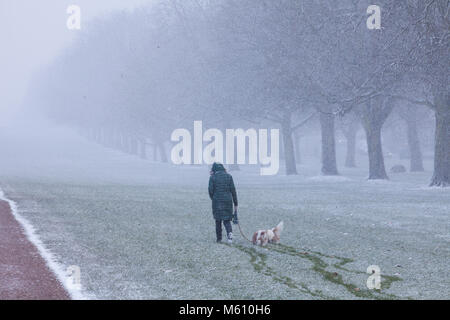 Windsor, Großbritannien. 27. Februar, 2018. Eine Frau geht zwei Hunde im Blizzard Bedingungen neben den schon lange im Windsor Great Park entfernt. Credit: Mark Kerrison/Alamy leben Nachrichten Stockfoto