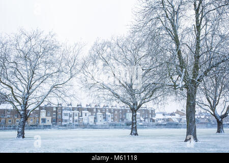 Windsor, Großbritannien. 27. Februar, 2018. Am späten Nachmittag Schneefall im Windsor Great Park. Credit: Mark Kerrison/Alamy leben Nachrichten Stockfoto