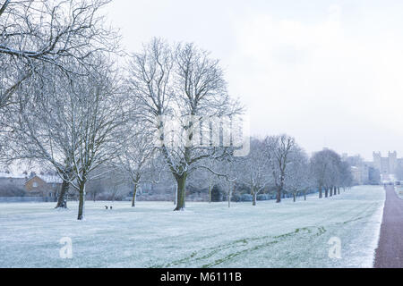 Windsor, Großbritannien. 27. Februar, 2018. Schnee neben dem langen Spaziergang im Windsor Great Park vor Windsor Castle. Credit: Mark Kerrison/Alamy leben Nachrichten Stockfoto
