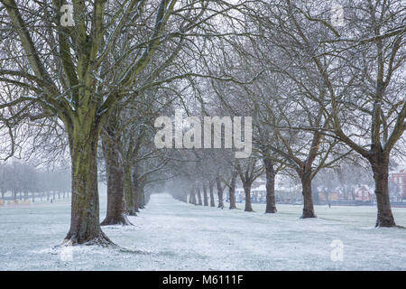 Windsor, Großbritannien. 27. Februar, 2018. Am späten Nachmittag Schneefall im Windsor Great Park. Credit: Mark Kerrison/Alamy leben Nachrichten Stockfoto