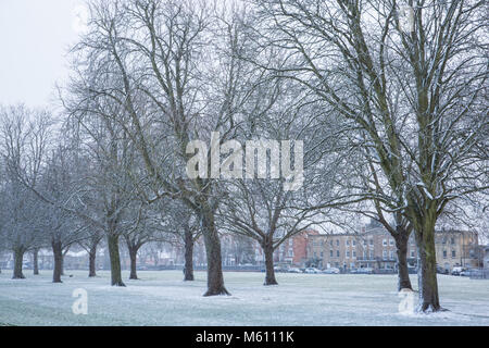 Windsor, Großbritannien. 27. Februar, 2018. Am späten Nachmittag Schneefall im Windsor Great Park. Credit: Mark Kerrison/Alamy leben Nachrichten Stockfoto