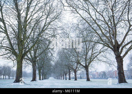 Windsor, Großbritannien. 27. Februar, 2018. Am späten Nachmittag Schneefall im Windsor Great Park. Credit: Mark Kerrison/Alamy leben Nachrichten Stockfoto