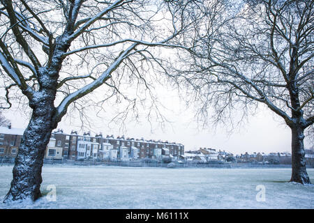 Windsor, Großbritannien. 27. Februar, 2018. Am späten Nachmittag Schneefall im Windsor Great Park. Credit: Mark Kerrison/Alamy leben Nachrichten Stockfoto