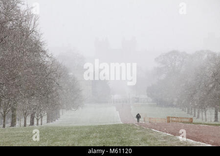 Windsor, Großbritannien. 27. Februar, 2018. Schnee fällt auf dem Langen im Windsor Great Park vor Windsor Castle entfernt. Credit: Mark Kerrison/Alamy leben Nachrichten Stockfoto