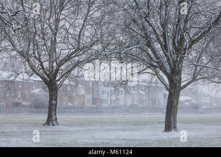 Windsor, Großbritannien. 27. Februar, 2018. Schnee fällt im Windsor Great Park. Credit: Mark Kerrison/Alamy leben Nachrichten Stockfoto