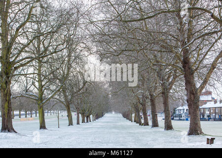 Windsor, Großbritannien. 27. Februar, 2018. Am späten Nachmittag Schneefall im Windsor Great Park. Credit: Mark Kerrison/Alamy leben Nachrichten Stockfoto