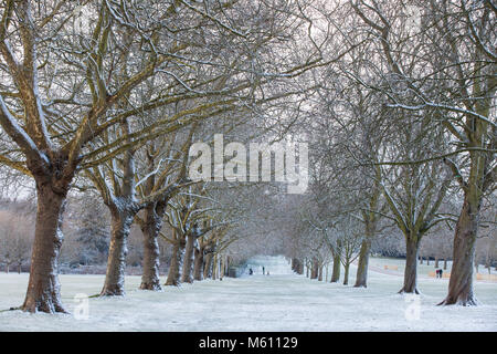 Windsor, Großbritannien. 27. Februar, 2018. Am späten Nachmittag Schneefall im Windsor Great Park. Credit: Mark Kerrison/Alamy leben Nachrichten Stockfoto