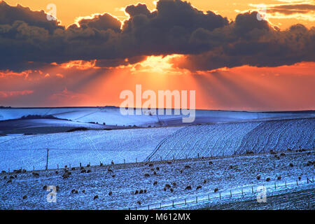 Lewes, Großbritannien. 27. Februar 2018. Schafe auf den verschneiten South Downs in der Nähe von Lewes, am Ende eines kalten heller Tag. Peter Cripps/Alamy leben Nachrichten Stockfoto