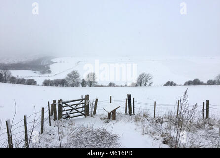 Schnee Mäntel der South Downs in der Nähe von Ditchling in East Sussex, als starker Schneefall ist die Straßen über Großbritannien am Dienstag morgen nach einigen Zentimetern in einigen Teilen im Laufe der Nacht fiel. Stockfoto